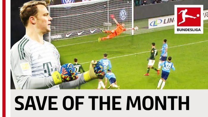 Top 5 Saves in January 2019 – Vote for your Save of the Month